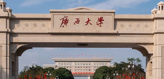 广西大学人工智能学院：点亮AI未来的新星